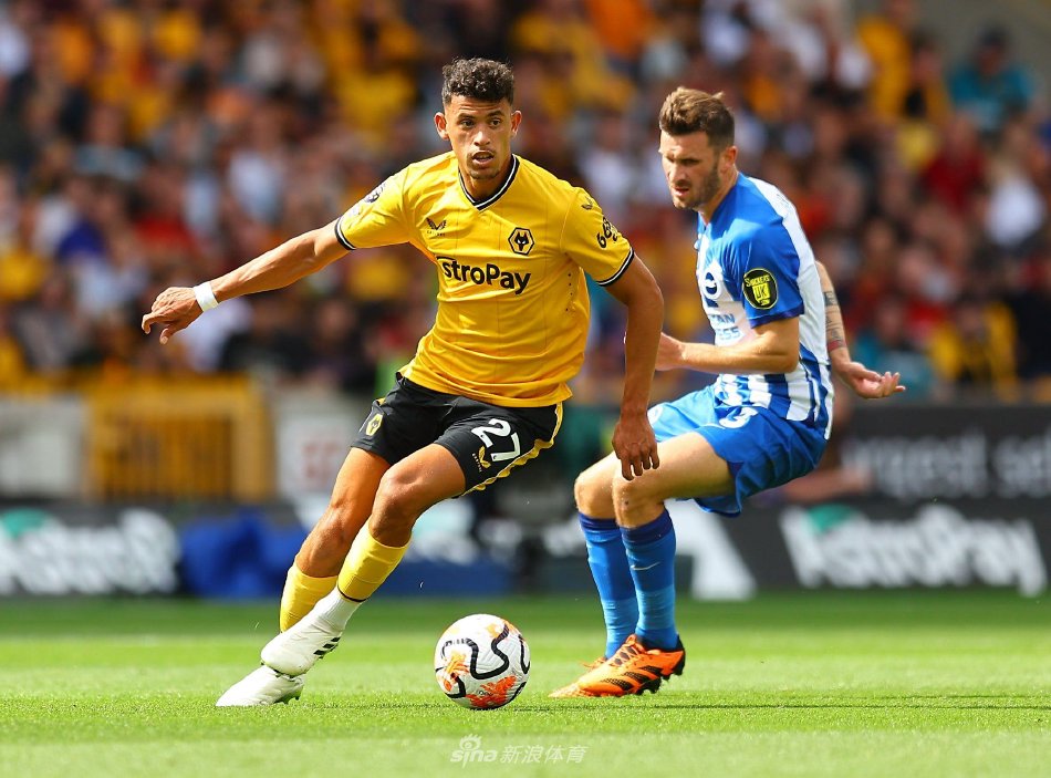 注力显然让 注力显然让